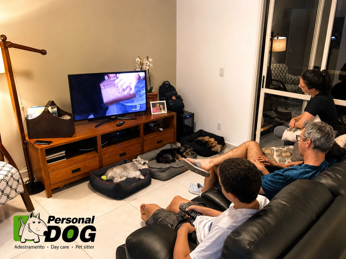 Família caminhando com cães durante treino de rua