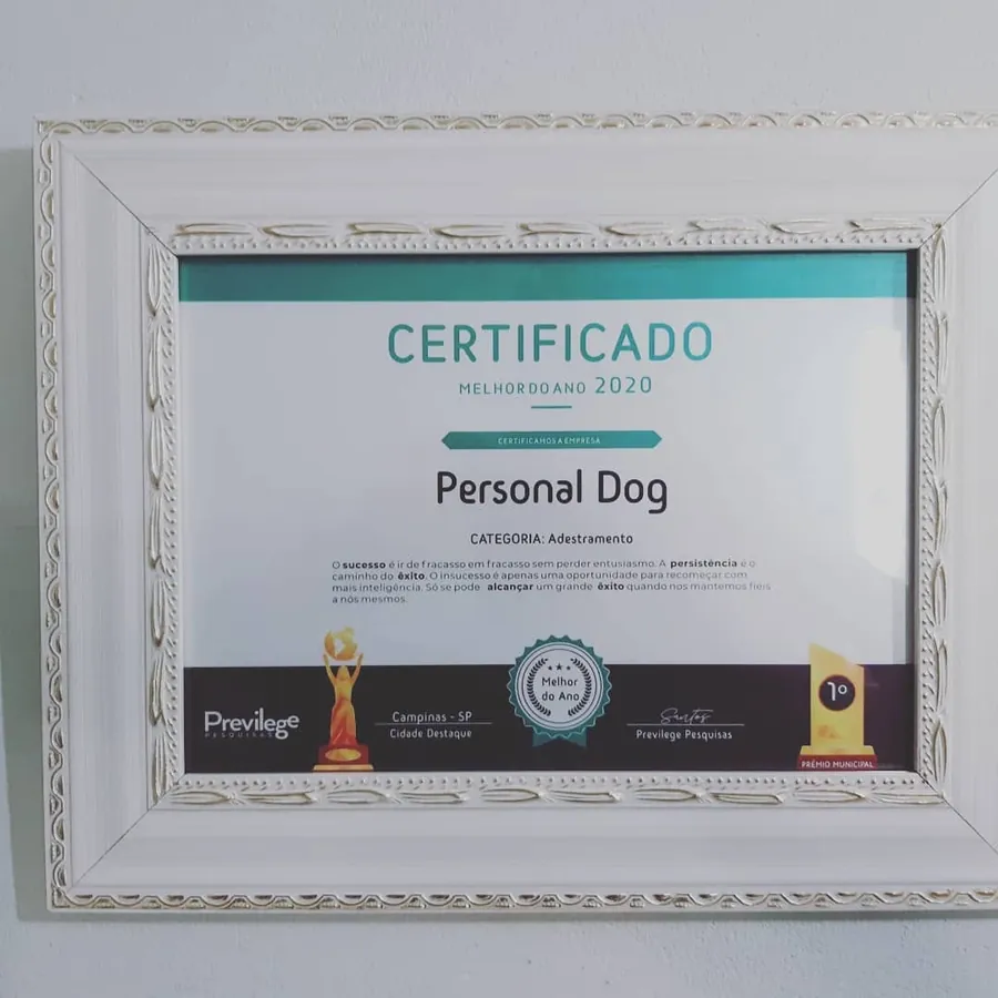 Certificado Melhor do Ano 2020 na categoria Adestramento concedido à Personal Dog